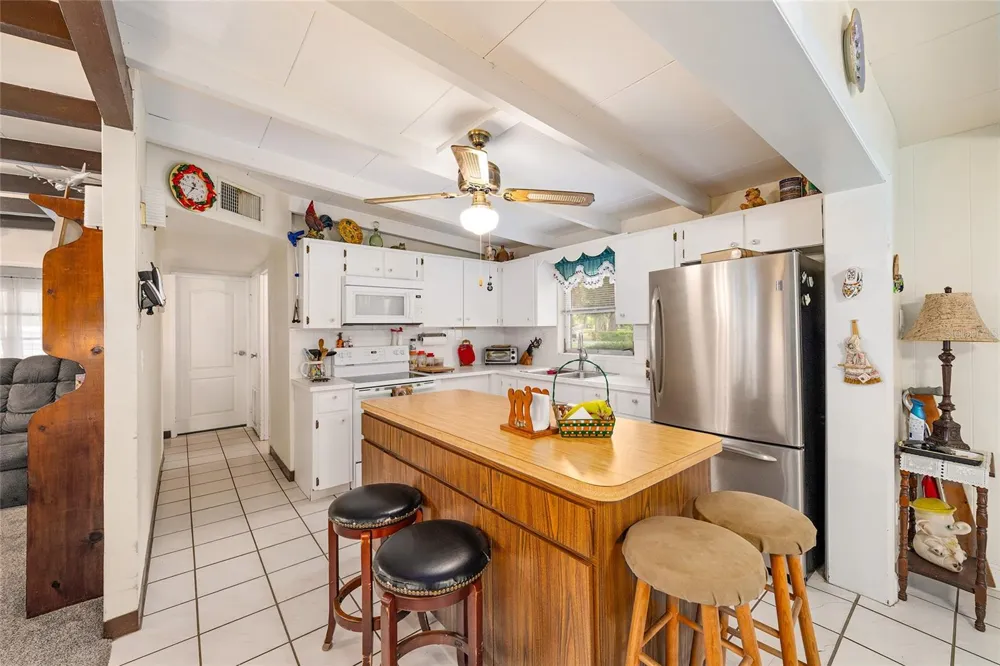 2345 CR 453 Lake Panasoffkee, FL 33538