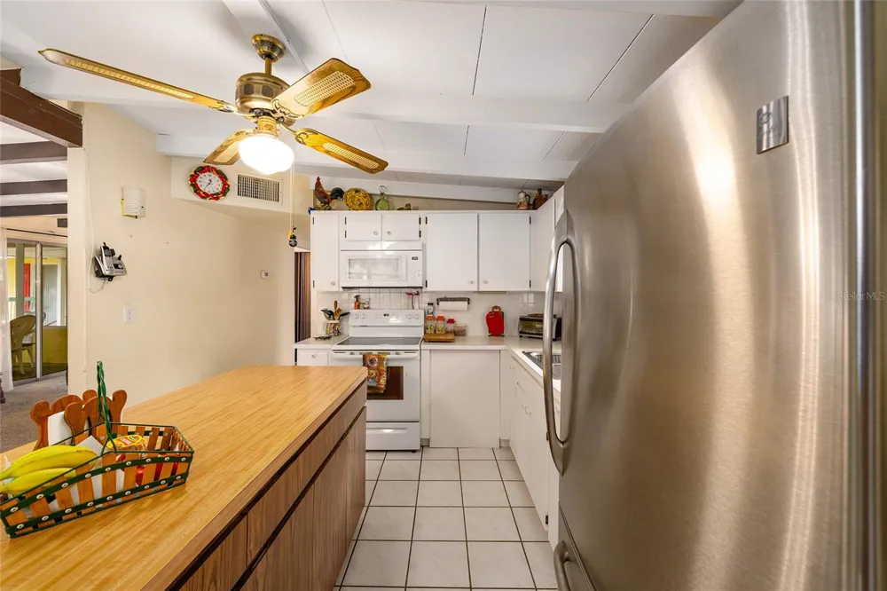 2345 CR 453 Lake Panasoffkee, FL 33538