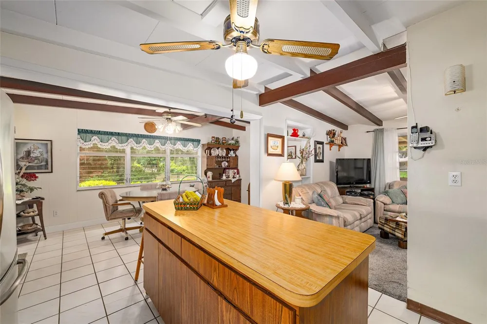 2345 CR 453 Lake Panasoffkee, FL 33538