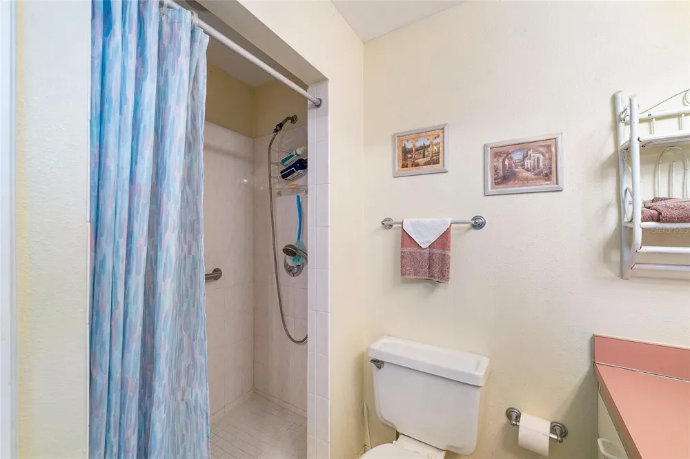 2345 CR 453 Lake Panasoffkee, FL 33538