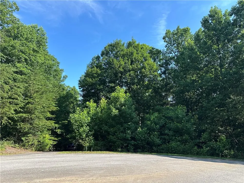 5 Lots Clearview Drive Cleveland, GA 30528