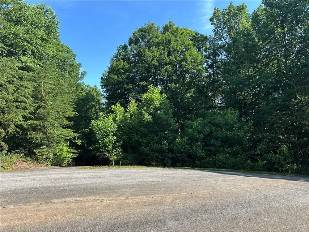 5 Lots Clearview Drive Cleveland, GA 30528