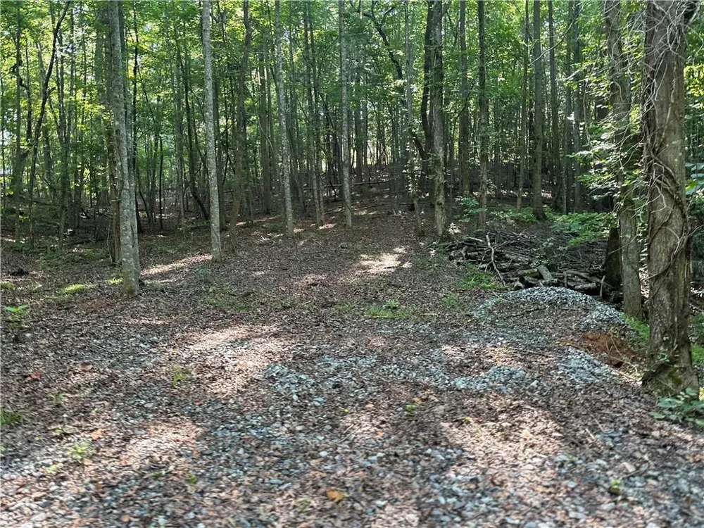 5 Lots Clearview Drive Cleveland, GA 30528
