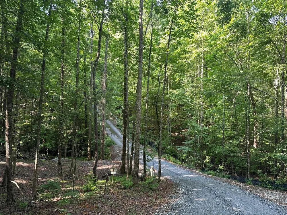 5 Lots Clearview Drive Cleveland, GA 30528