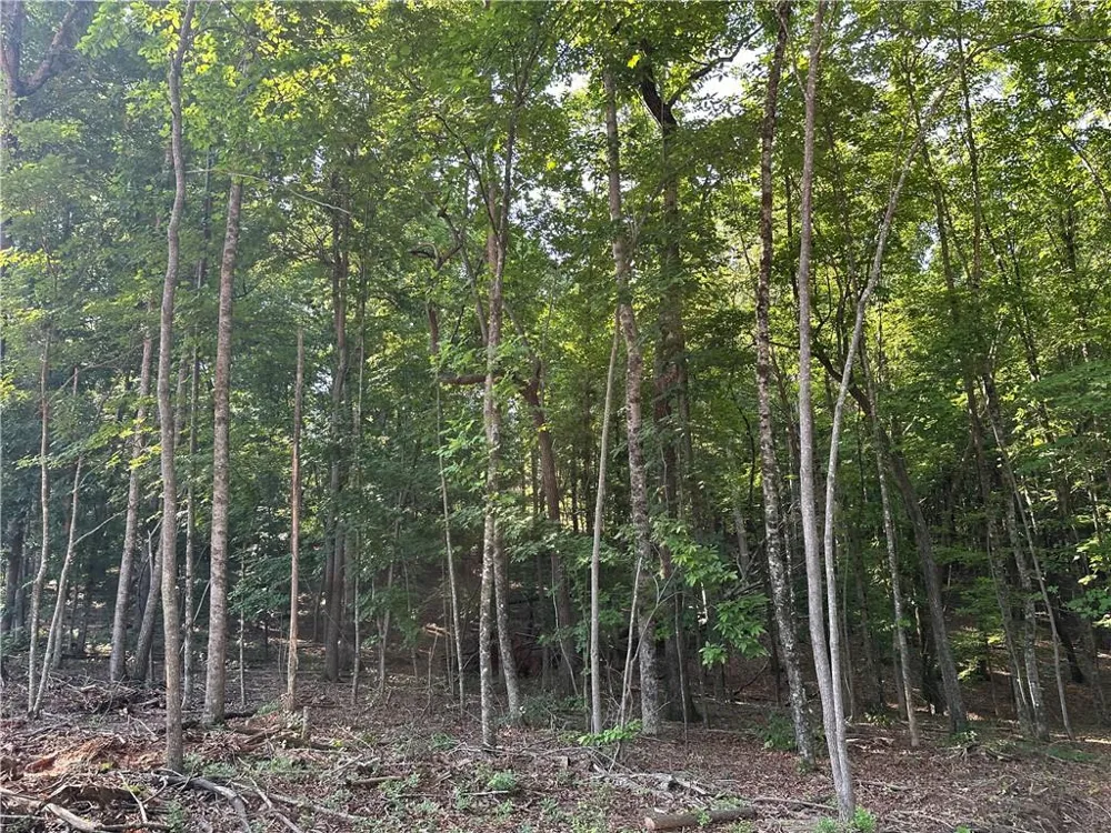 5 Lots Clearview Drive Cleveland, GA 30528