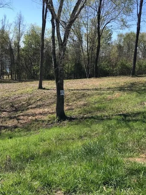 10 Piney View Drive