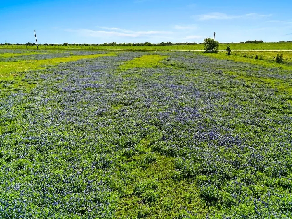 2080 Fm 155 S Weimar, TX 78962