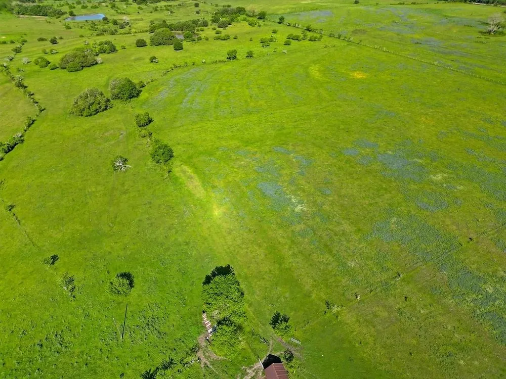 2080 Fm 155 S Weimar, TX 78962