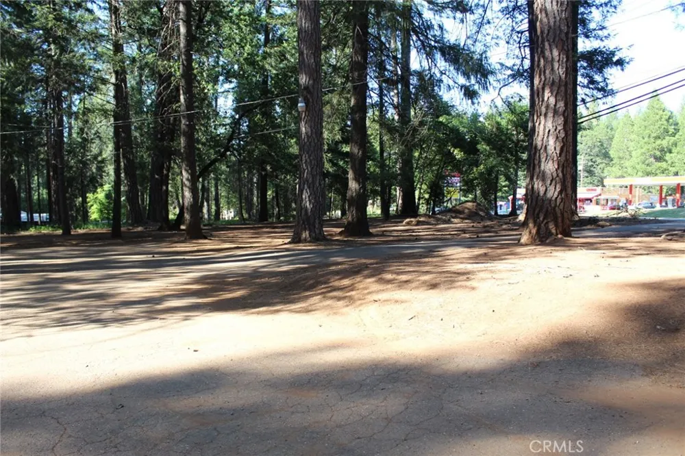 14599 Skyway Magalia, CA 95954