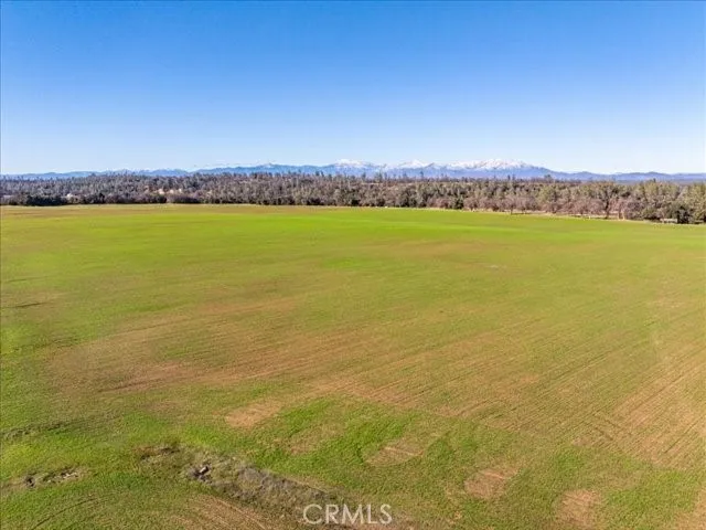 Old Gold Road Cottonwood, CA 96022
