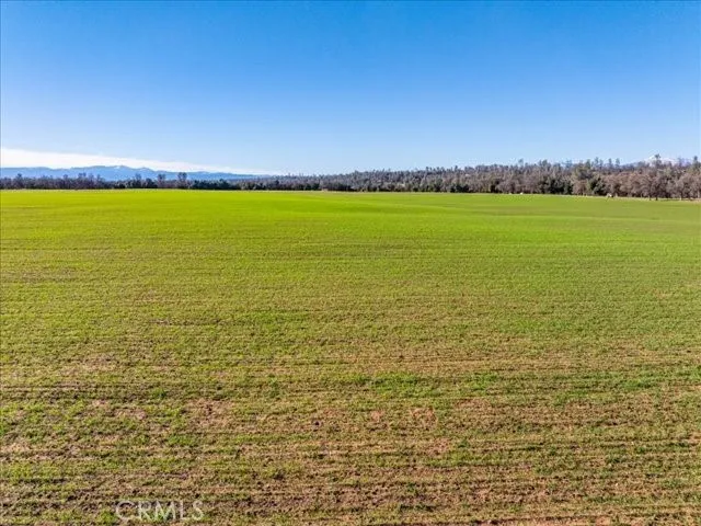 Old Gold Road Cottonwood, CA 96022