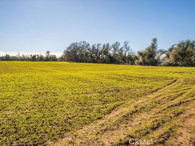 Old Gold Road Cottonwood, CA 96022