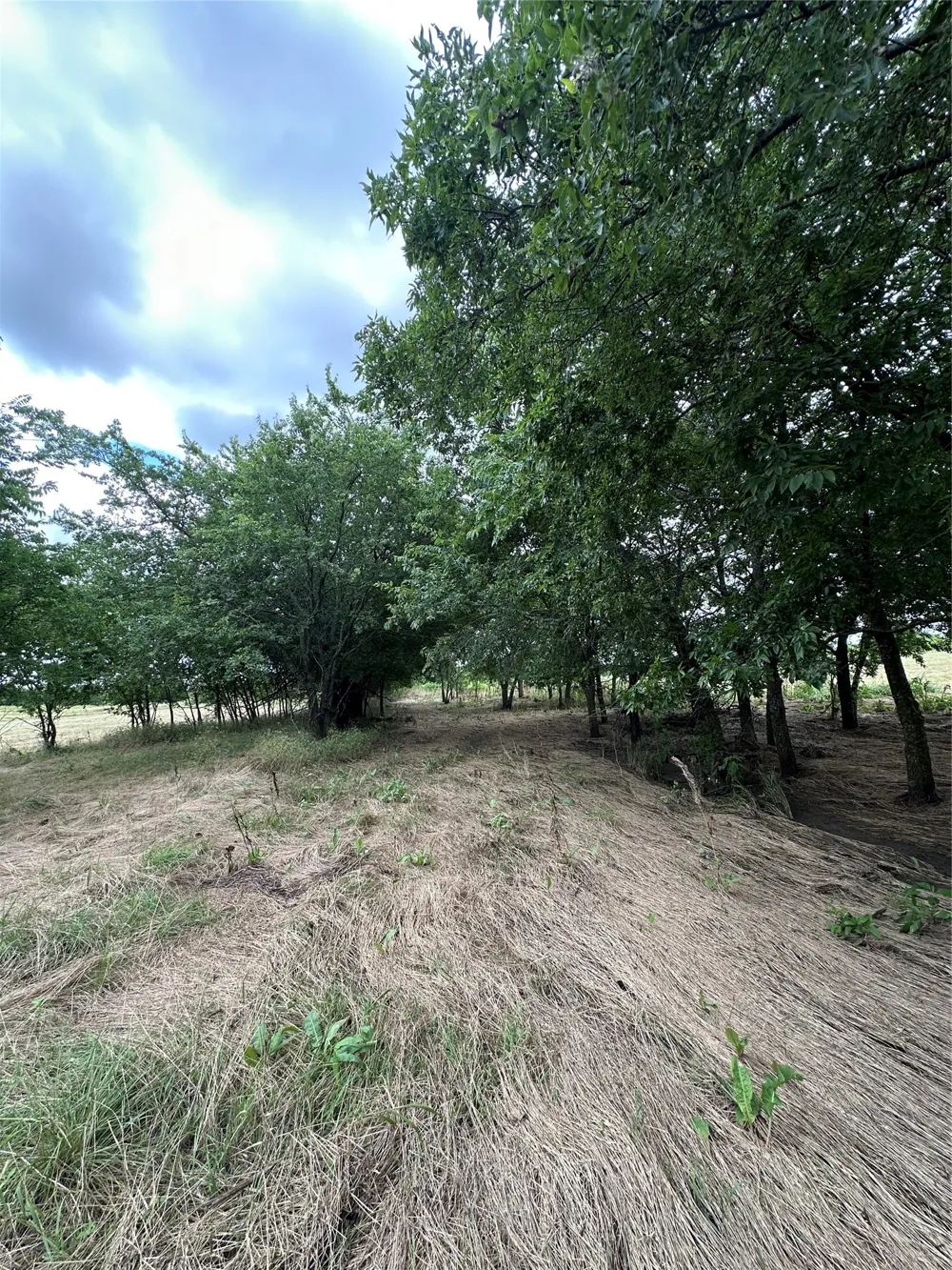 KRAHL ROAD Valley View, TX 76272