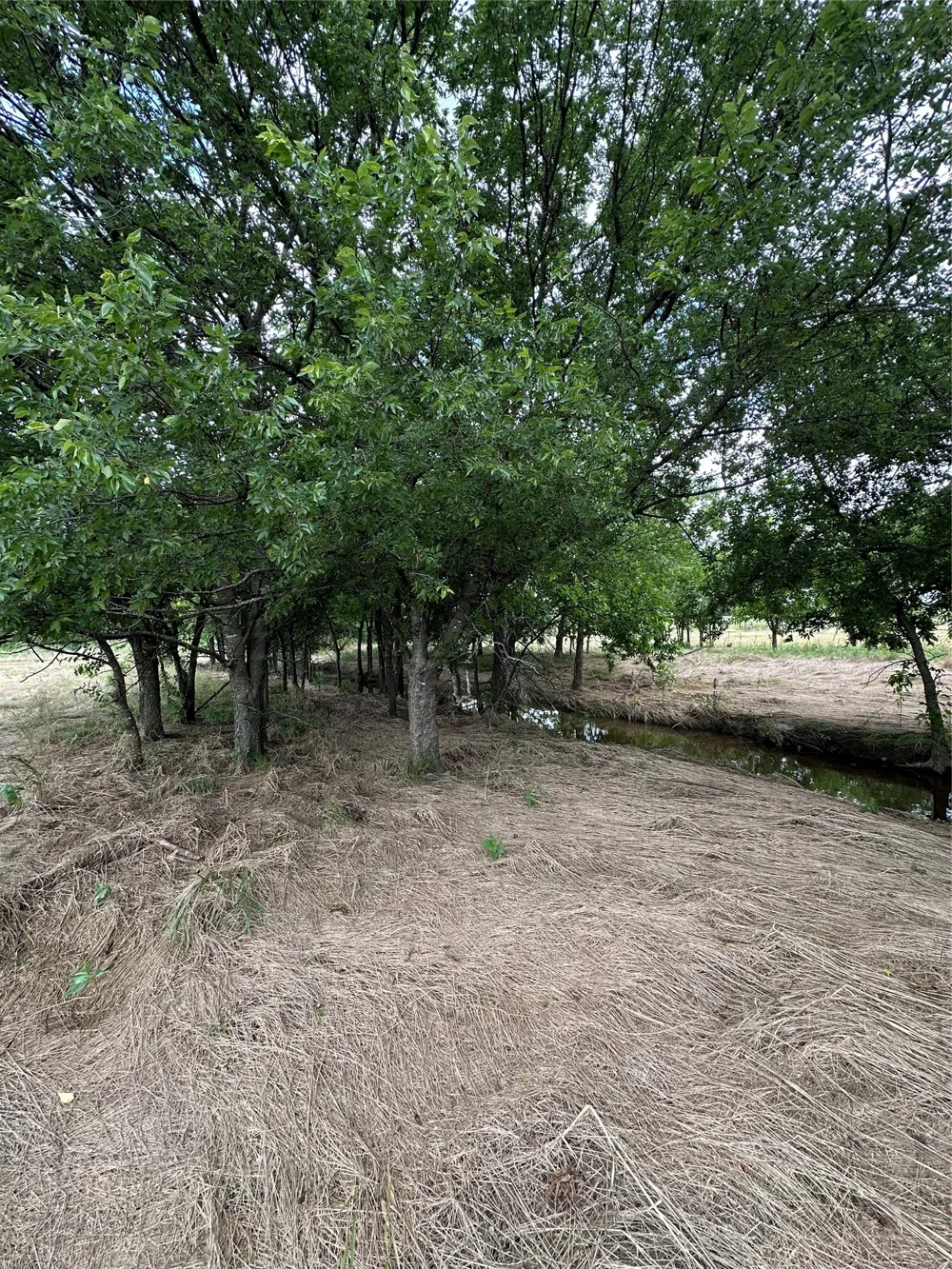 KRAHL ROAD Valley View, TX 76272