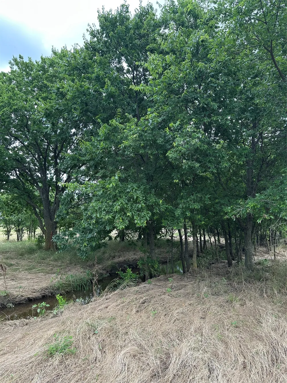 KRAHL ROAD Valley View, TX 76272