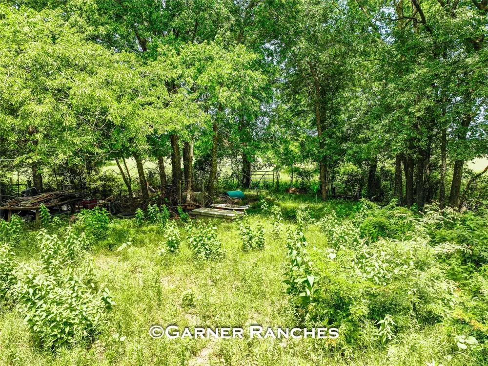 7008 Cr-1019 Wolfe City, TX 75496