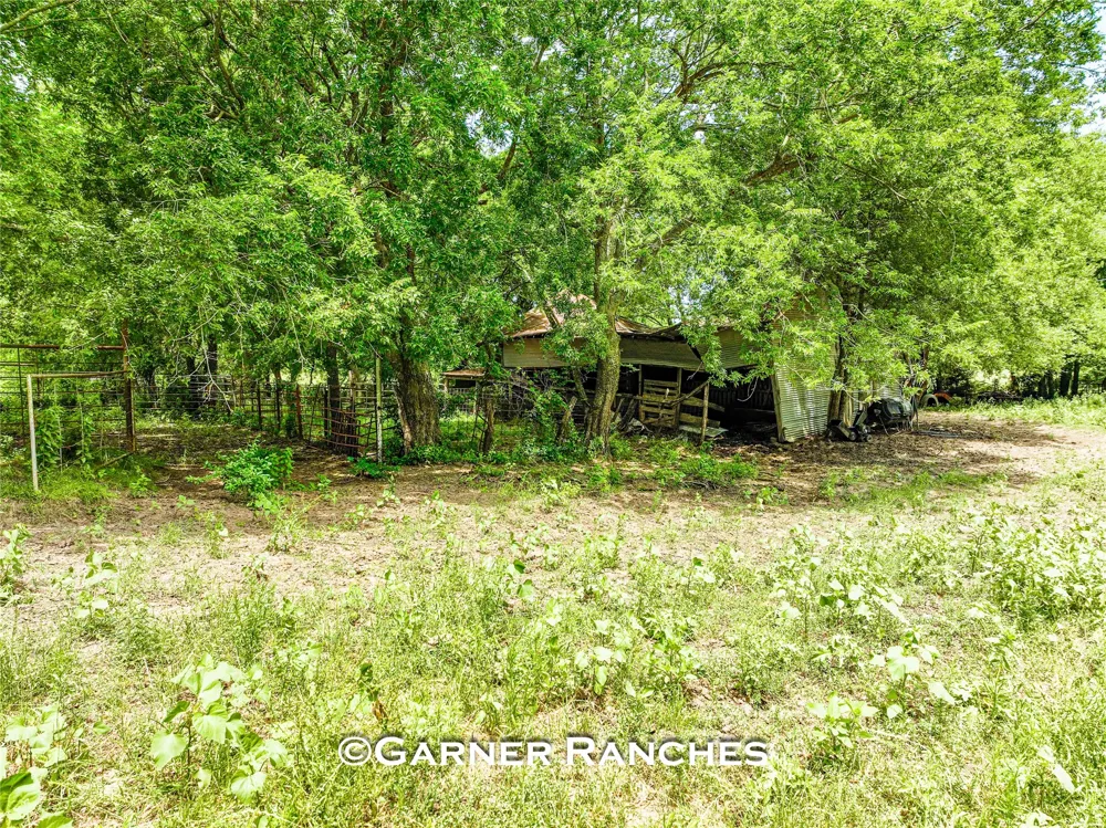 7008 Cr-1019 Wolfe City, TX 75496