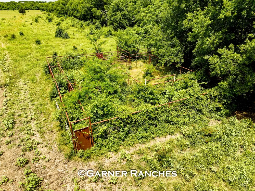 7008 Cr-1019 Wolfe City, TX 75496