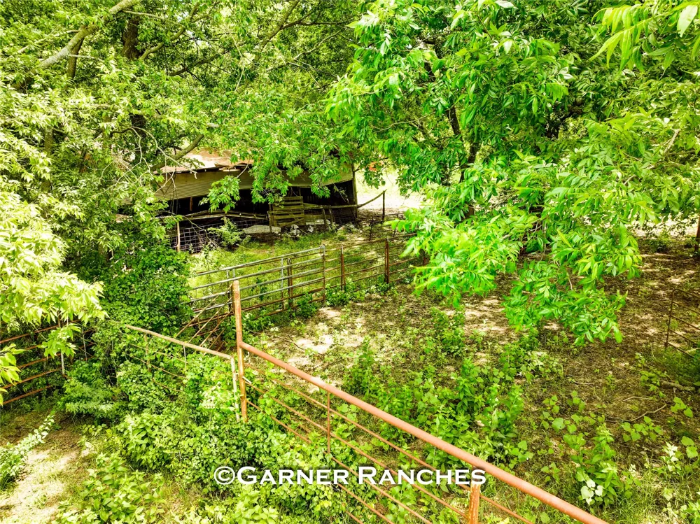 7008 Cr-1019 Wolfe City, TX 75496