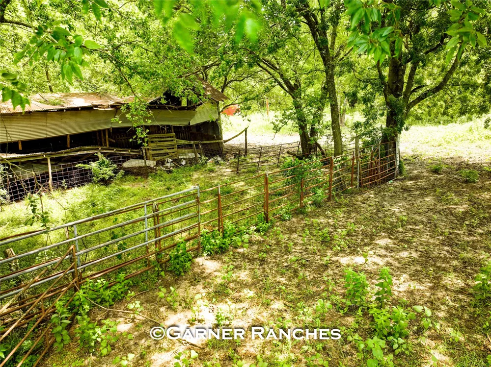 7008 Cr-1019 Wolfe City, TX 75496