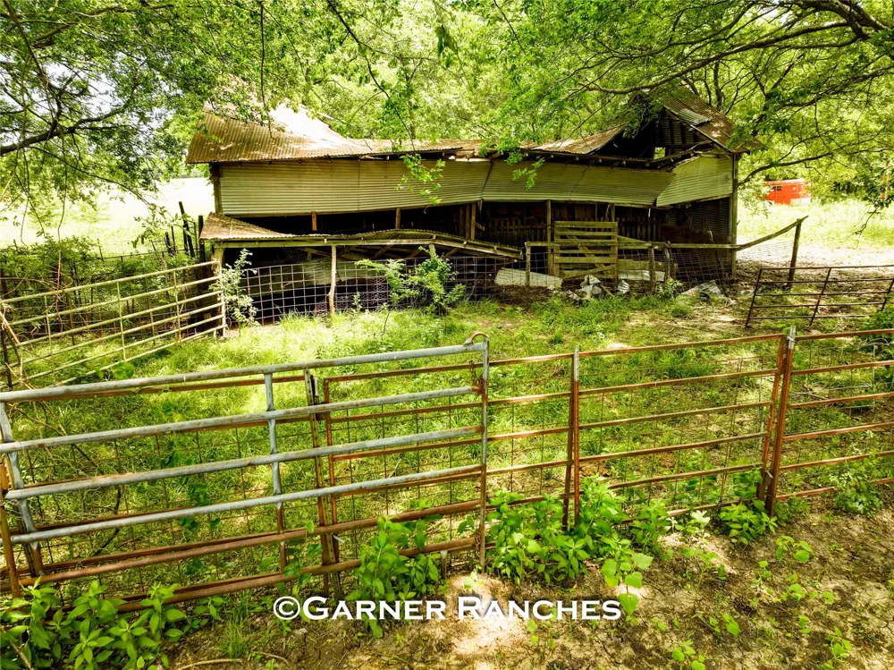 7008 Cr-1019 Wolfe City, TX 75496