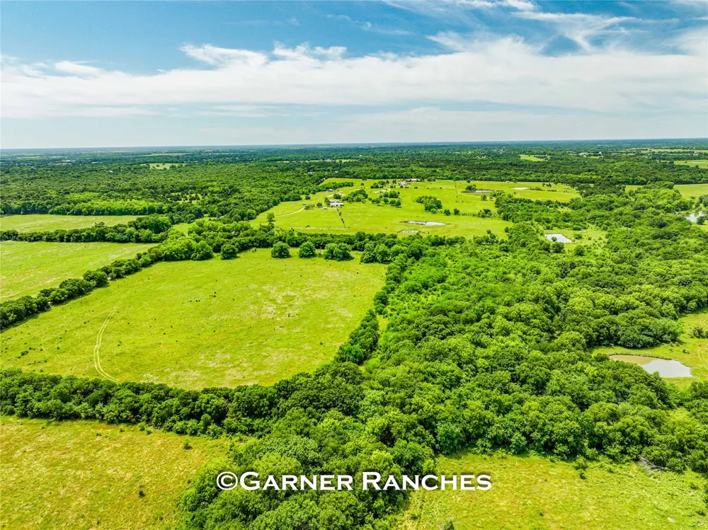 7008 Cr-1019 Wolfe City, TX 75496