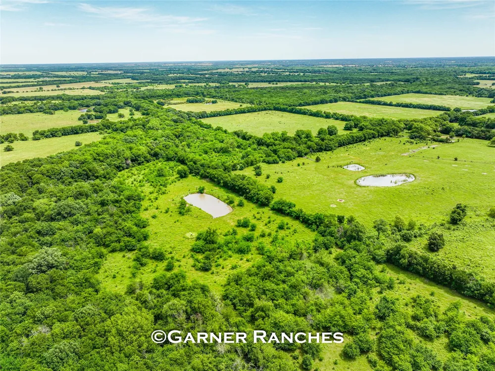 7008 Cr-1019 Wolfe City, TX 75496