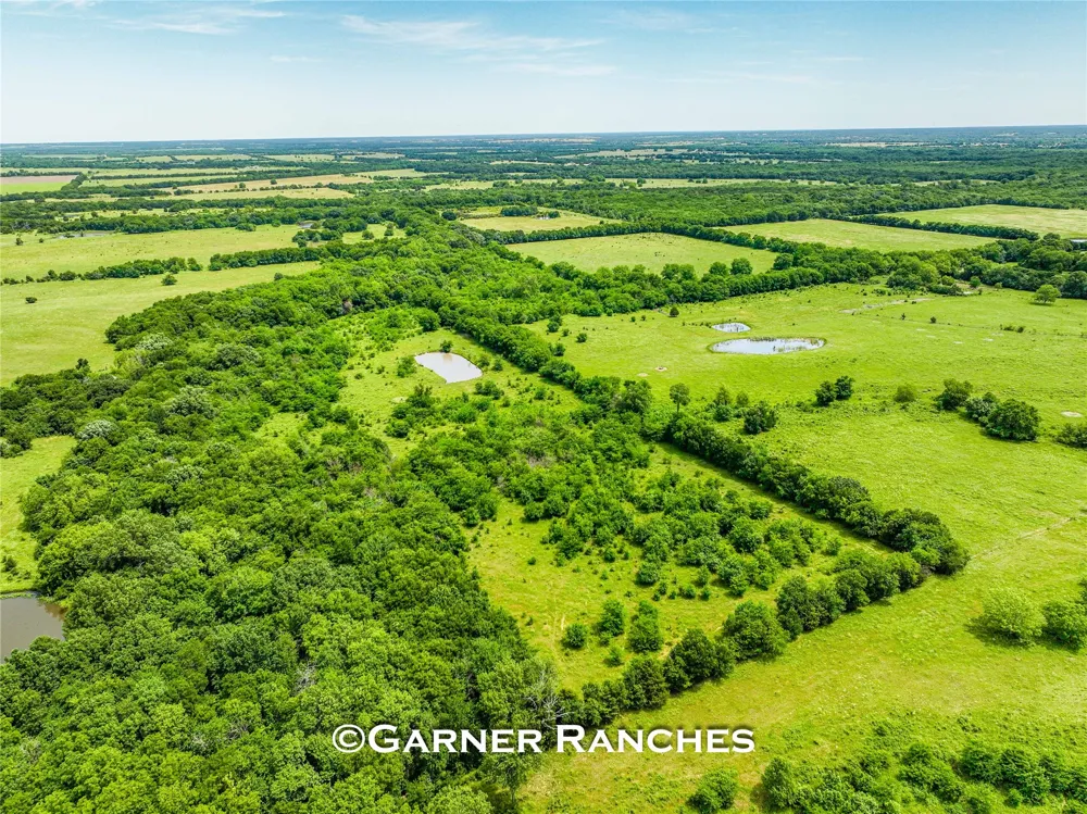 7008 Cr-1019 Wolfe City, TX 75496