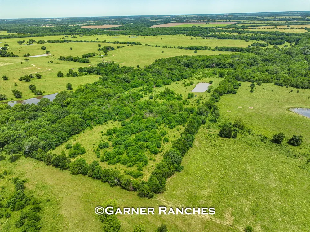 7008 Cr-1019 Wolfe City, TX 75496