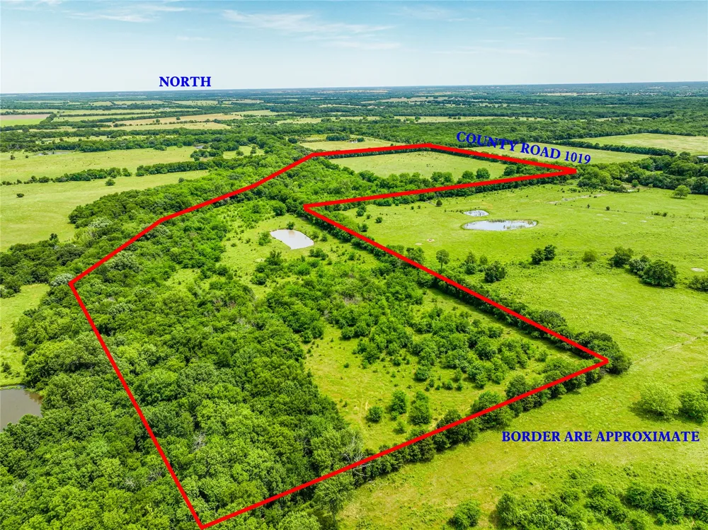 7008 Cr-1019 Wolfe City, TX 75496