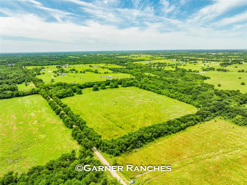 7008 Cr-1019 Wolfe City, TX 75496