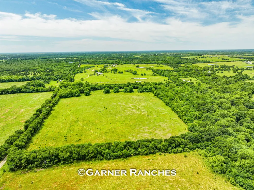7008 Cr-1019 Wolfe City, TX 75496