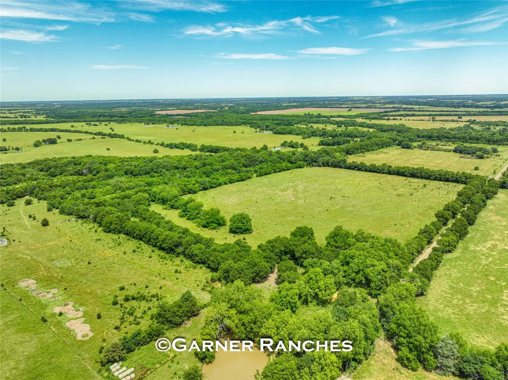 7008 Cr-1019 Wolfe City, TX 75496
