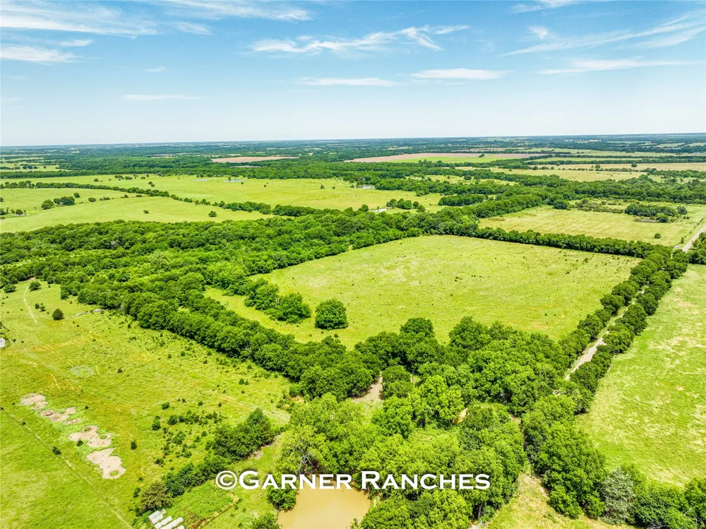 7008 Cr-1019 Wolfe City, TX 75496