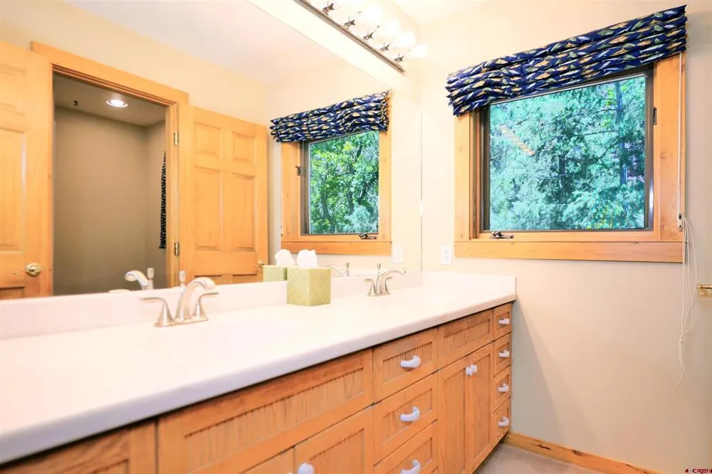 92 Trunk Road Placerville, CO 81430