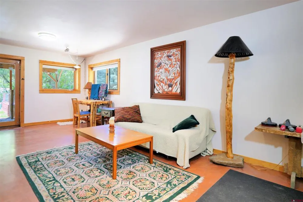 92 Trunk Road Placerville, CO 81430