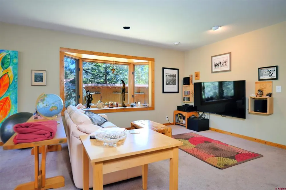 92 Trunk Road Placerville, CO 81430