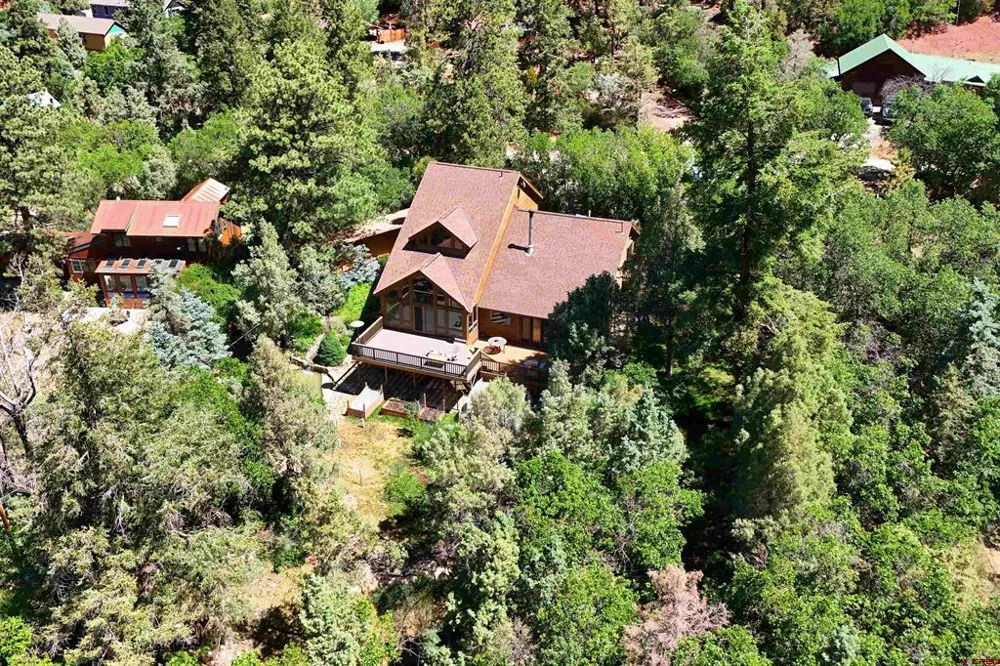 92 Trunk Road Placerville, CO 81430