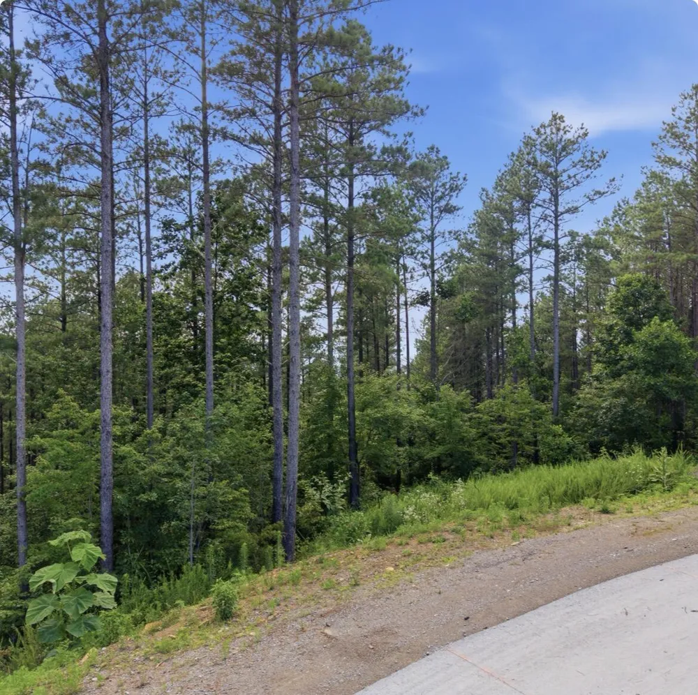 1141 Split Rail Way Guild, TN 37340