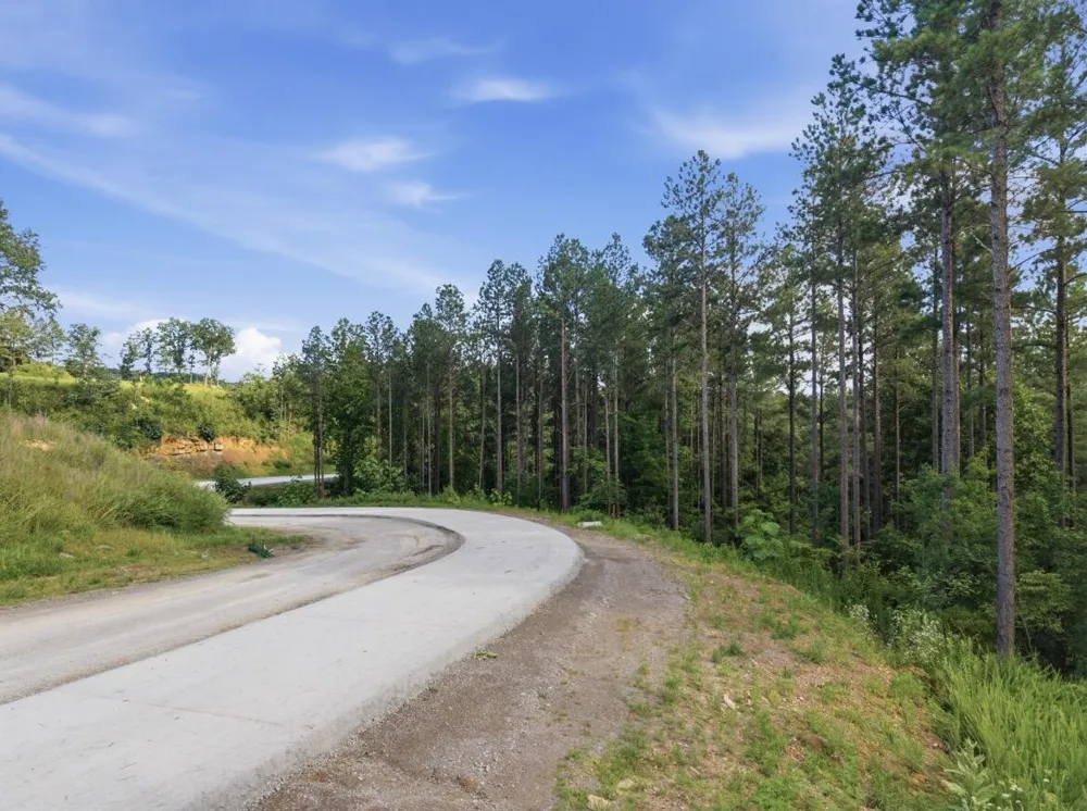 1141 Split Rail Way Guild, TN 37340