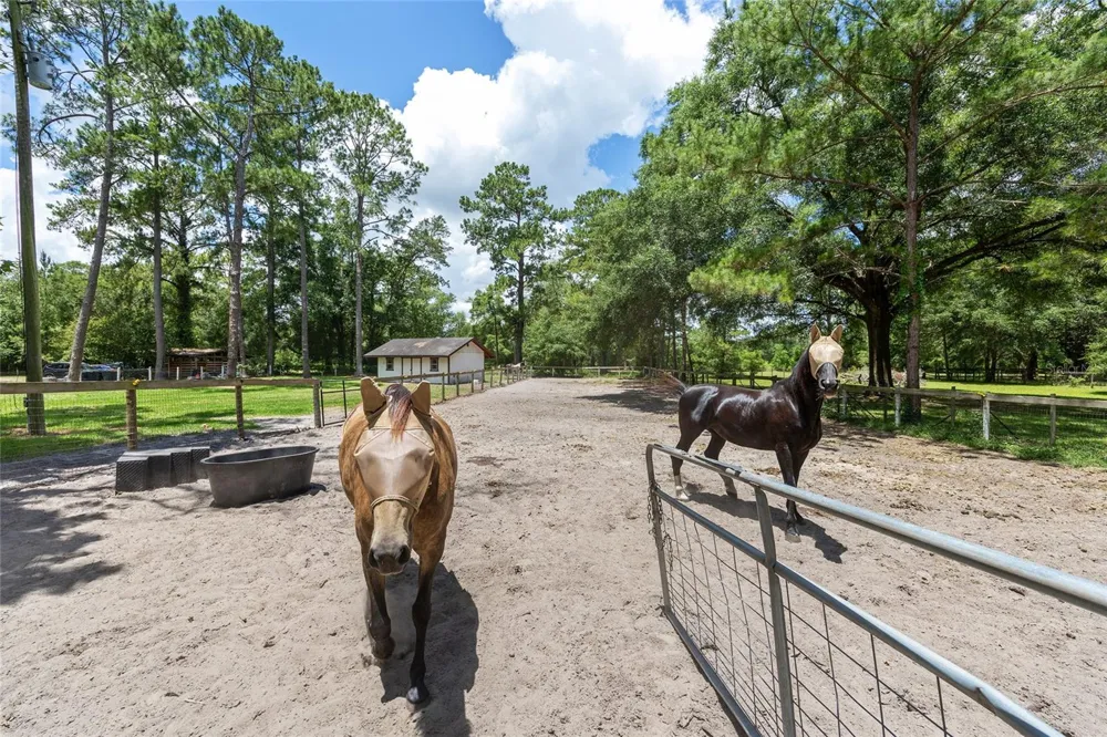 16353 NW 130 STREET Williston, FL 32696