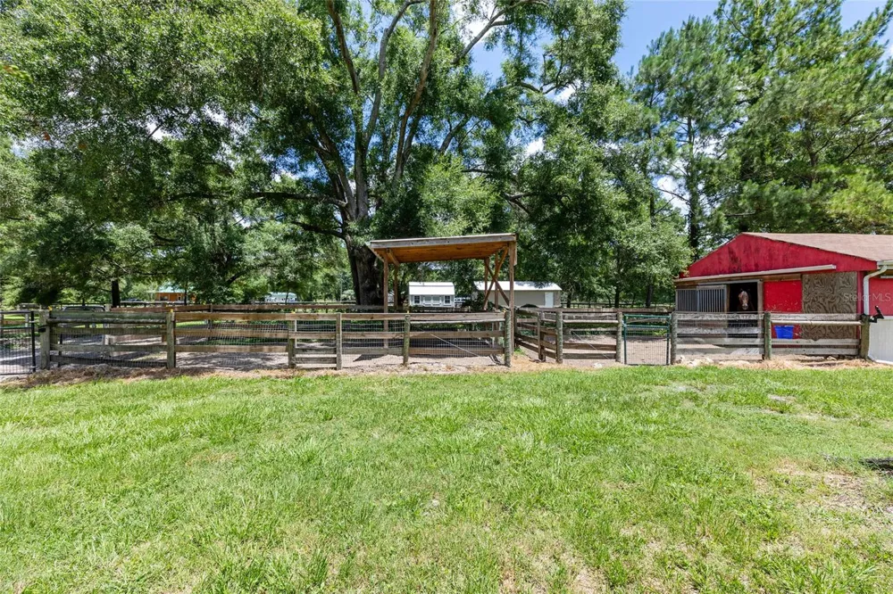 16353 NW 130 STREET Williston, FL 32696