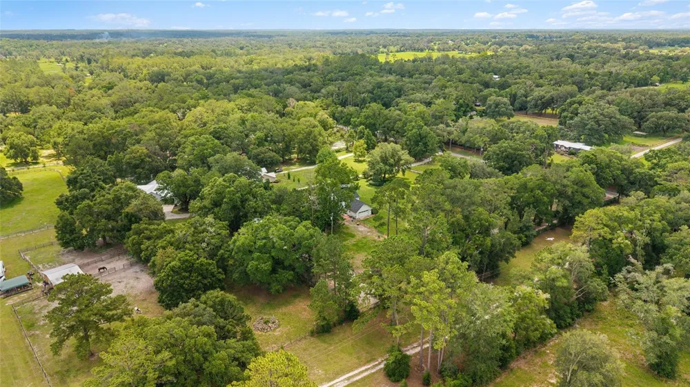 16353 NW 130 STREET Williston, FL 32696