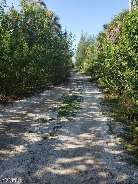 Pirate Landing Lane