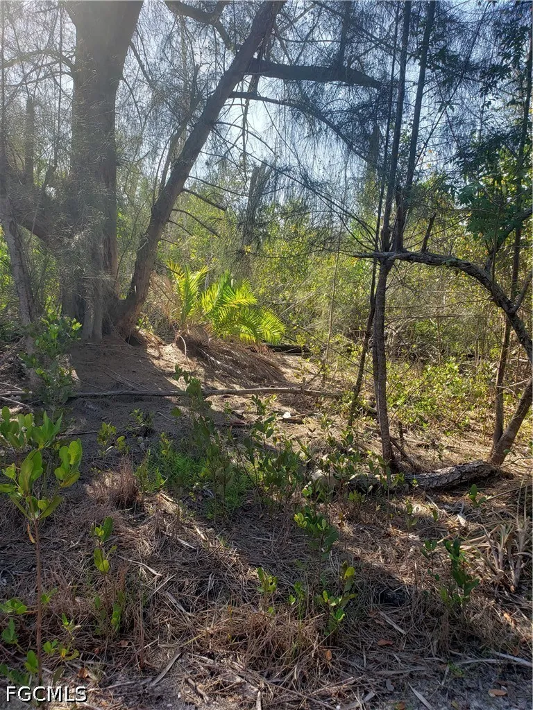 Pirate Landing Lane St James City, FL 33956