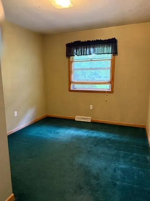 W9538 Cedar Drive Pepin, WI 54759