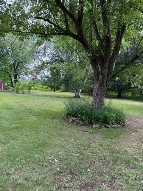 W9538 Cedar Drive Pepin, WI 54759