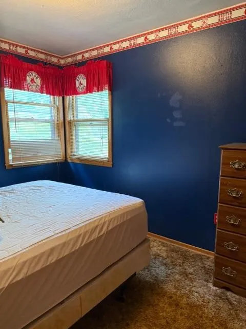 W9538 Cedar Drive Pepin, WI 54759