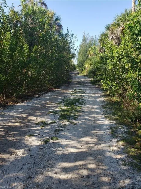 Pirate Landing Lane