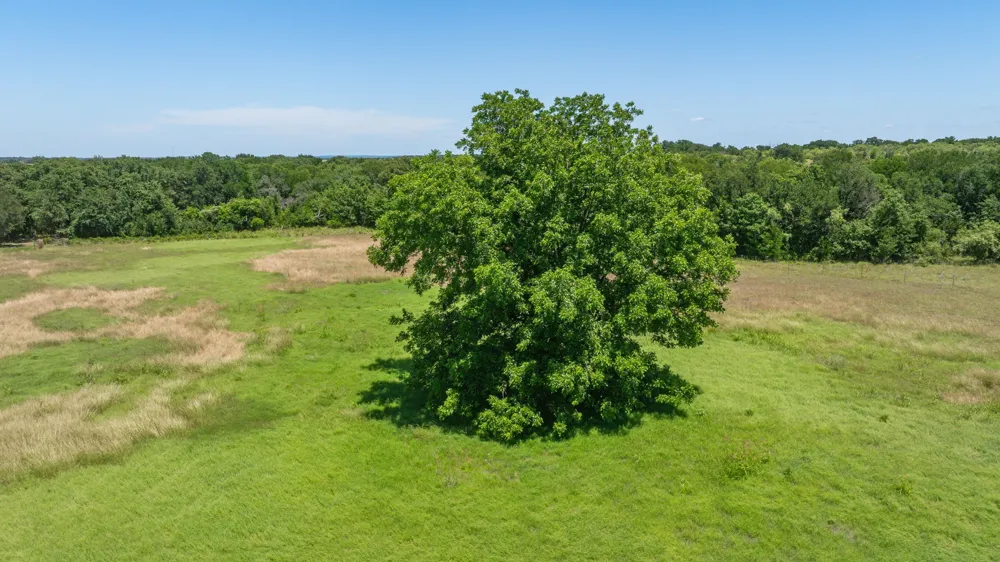 Tr 3 CR 164 Stephenville, TX 76401